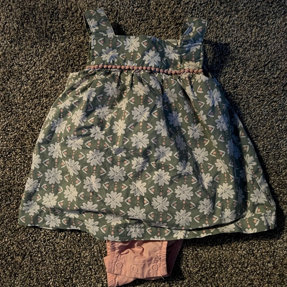 12 Month Like New Carters Dress